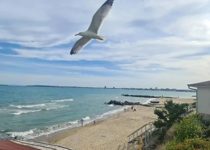 Beige-A-View, F2 - Sea Dreams, Sveti Vlas Sveti Vlas